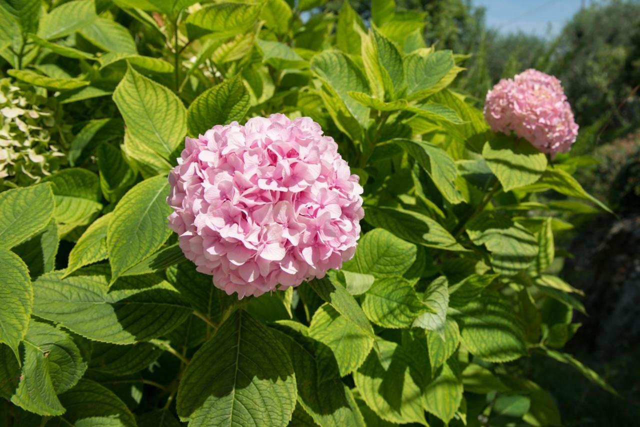 Villa Malcesine Eksteriør bilde