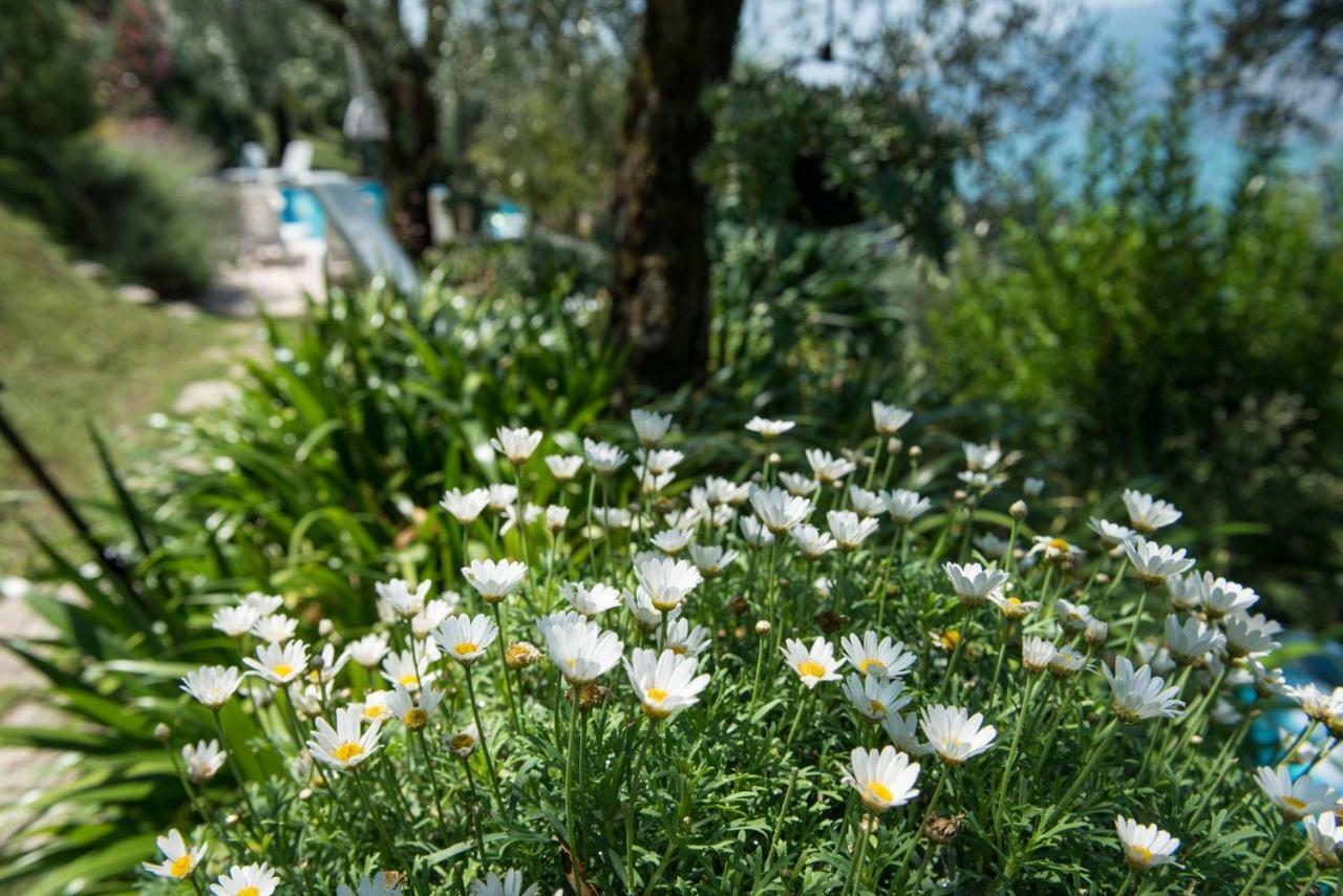 Villa Malcesine Eksteriør bilde
